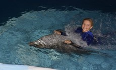 DOLPHIN SHOW $15